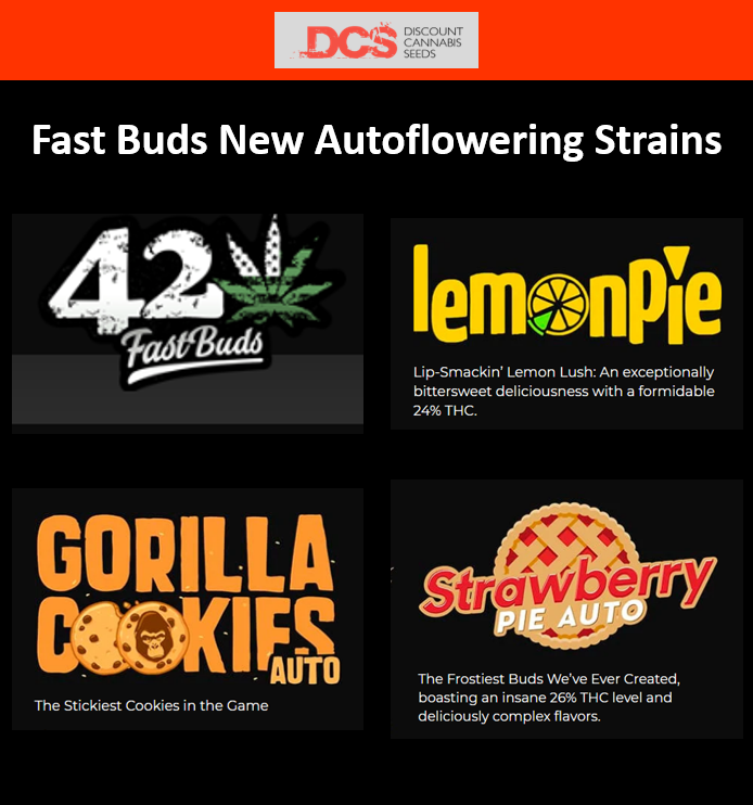 New Strains From Fast Buds At Discount Cannabis Seeds